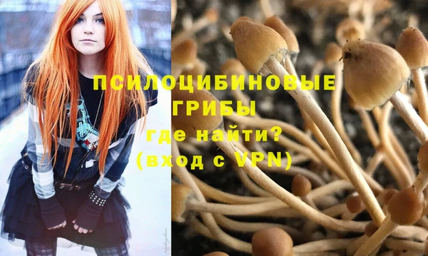 первитин Алексеевка