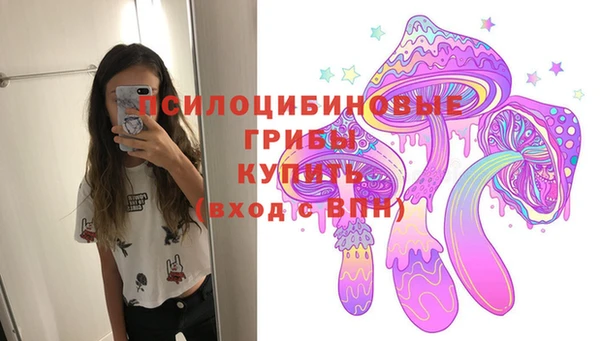 ешки Алзамай