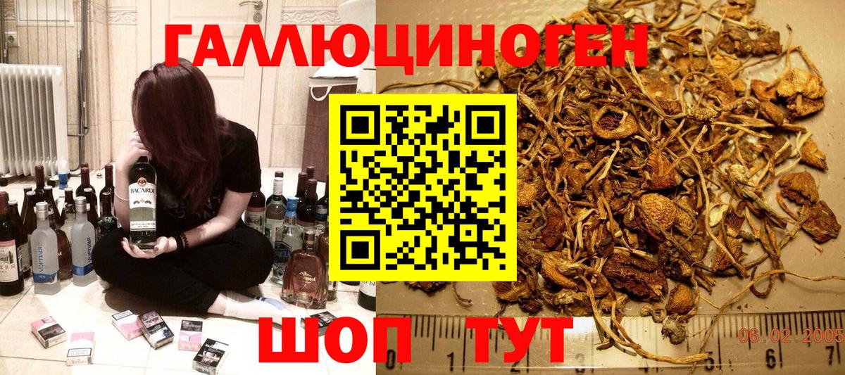 Купить наркотики цена  Меф МЯУ МЯУ кристаллы  A PVP СК кристаллы  Дзержинск  ГАШ  Вход с VPN  LSD-25  Бошки Шишки  КОКАИН 